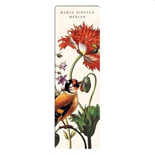 P0130-0141 - Knyvjelz Fridolin Maria Sibylla Merian Madr