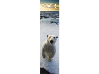 Mps61 - Cool! Bookmark 3d Knyvjelz 210x55