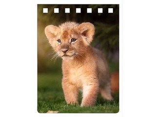 Na712 - Lion Prince Notebook A7