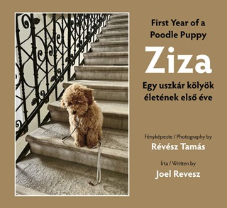 Rvsz Tams-Joel Revesz - Ziza - Egy Uszkr Klyk letnek Els ve