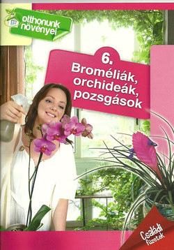 - - Bromlik, Orchidek, Pozsgsok - Otthonunk Nvnyei