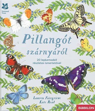 Lauren Fairgrieve - Pillangt Szrnyrl - 20 Lepkemodell Rszletes Ismertetvel
