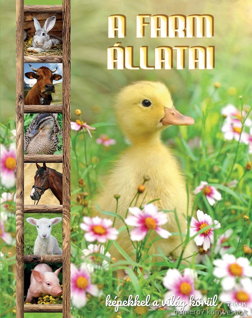- - A Farm Állatai - Képekkel A Világ Körül