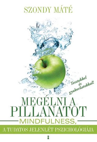 Dr. Szondy Mt - Meglni A Pillanatot - Mindfulness, A Tudatos Jelenlt Pszicholgija