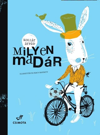 Kollr rpd - Milyen Madr